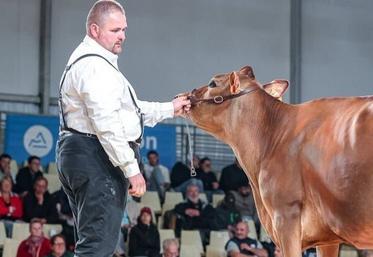 Tetropbell, grande championne au concours national Jersiaise.