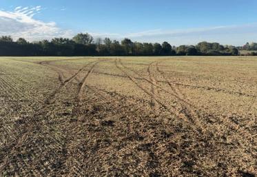Plusieurs exploitants du secteur du Pays d'Auge sont concernés par des nuisances nocturnes.