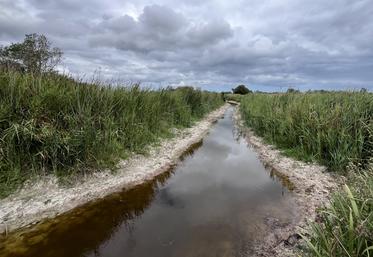 La Normandie souffre d'une grande inégalité de sous-sols affectant la capacité de certains territoires à affronter des sécheresses durables comme le montre la carte que nous publions dans l'article.