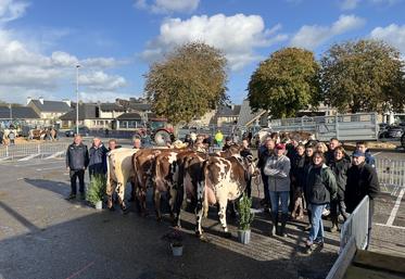 L'arrondissement de Valognes a fermé la marche des concours avec une des plus fortes participations des éleveurs. Ils avaient les pieds sur le bitume quand d'autres sont installés sous le marché couvert comme à Saint-Hilaire-du-Harcouët ou Carentan-les-Marais ou encore les pieds dans le sable à Saint-Martin-de-Bréhal et sur l'herbe à Cherbourg.
