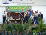 Pinacolada de la Ferme des P'tites Normandes a remporté le Graal lors du concours départemental organisé pour la 1re fois à Vachement Caen. Un titre doublé du prix d'honneur vaches en lactation.