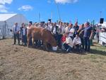 Dix éleveurs de Limousines ont concouru à Lessay le 12 septembre. Et c'est Vedette de chez Romain Lalouelle qui s'impose. Un nom qui lui va bien.