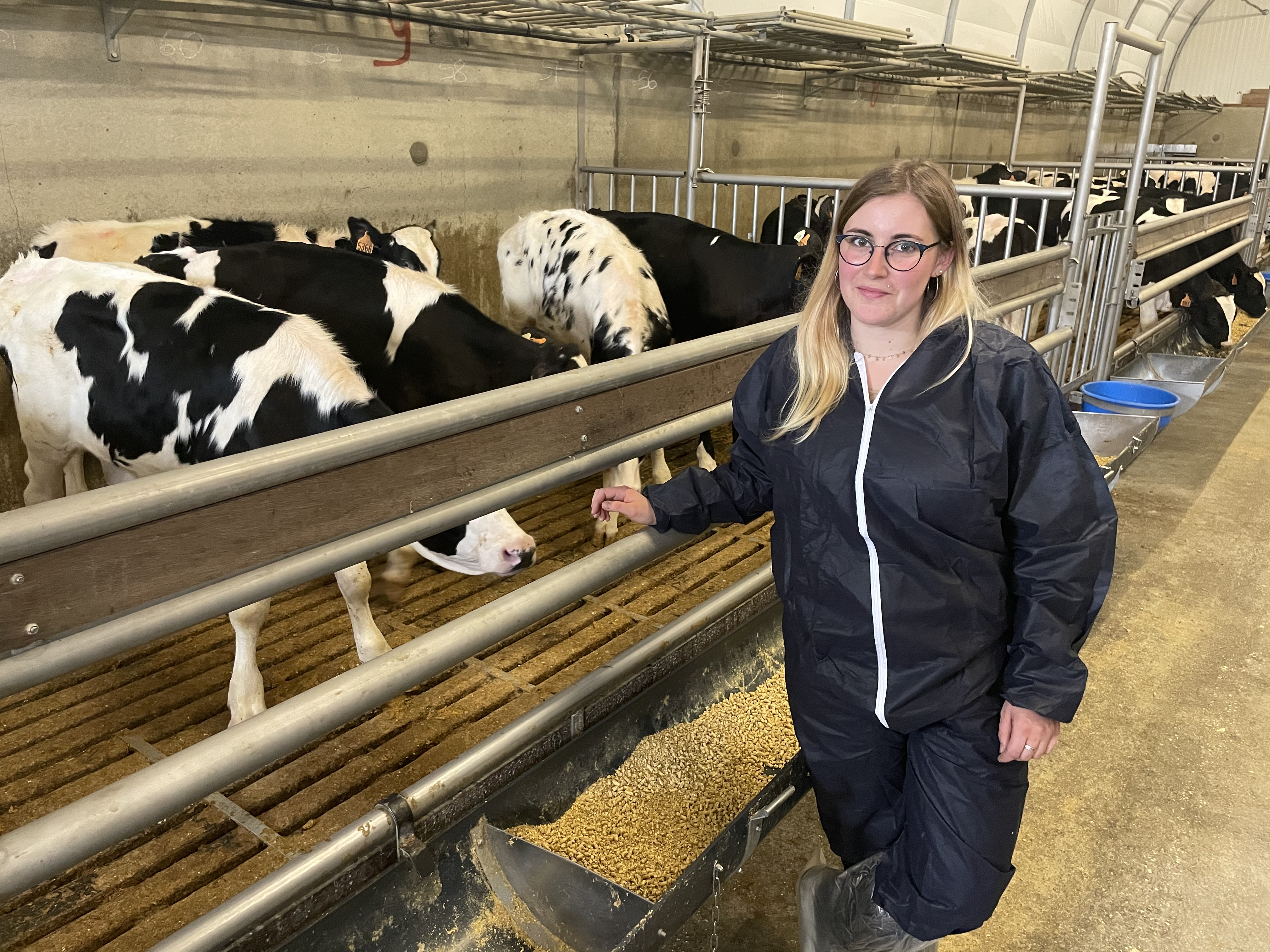 Veaux de boucherie | Soigner les veaux pour obtenir une viande de qualité |  Anjou agricole