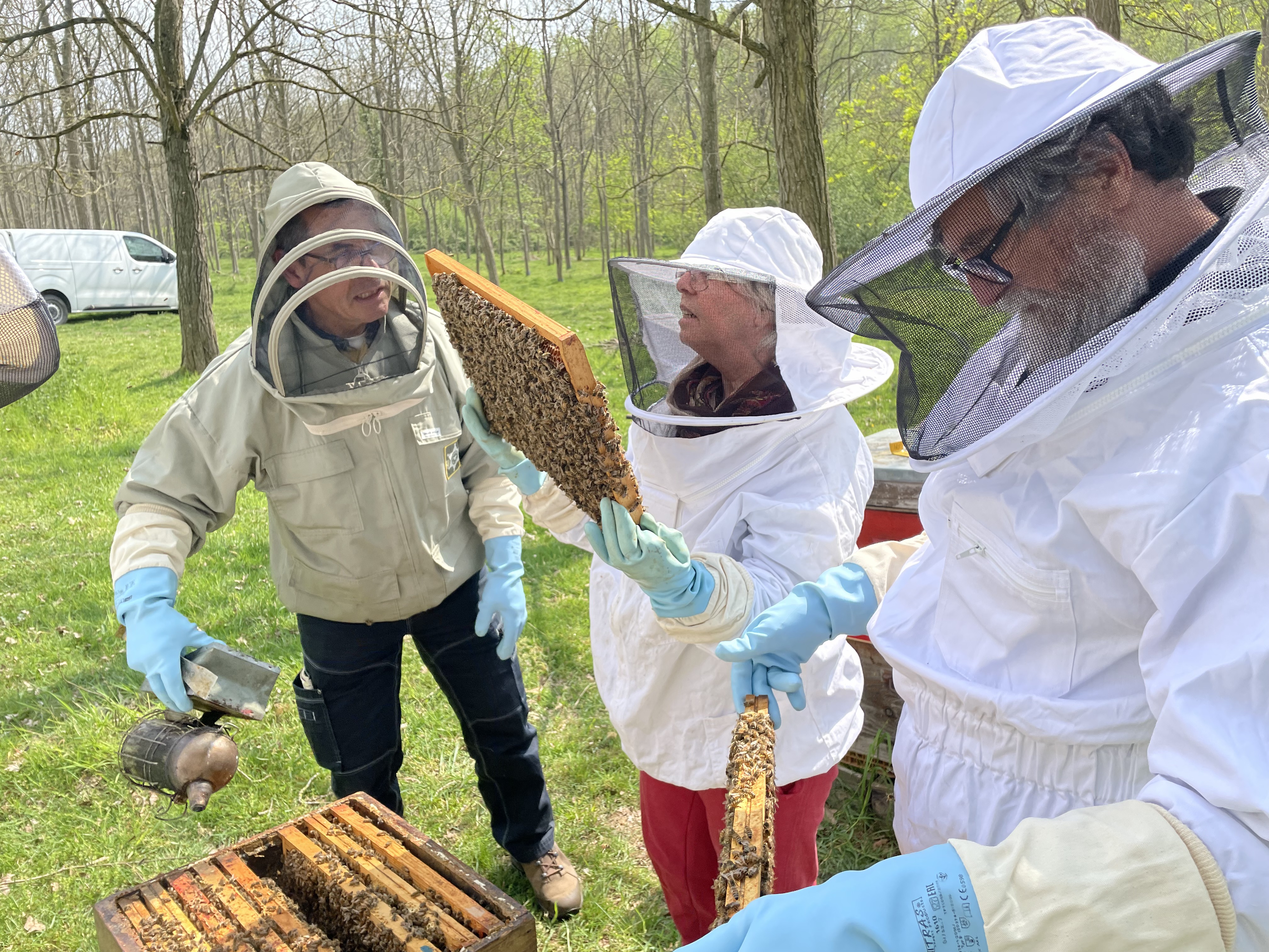 Apiculture, Ruchers-écoles pour apprentis apiculteurs