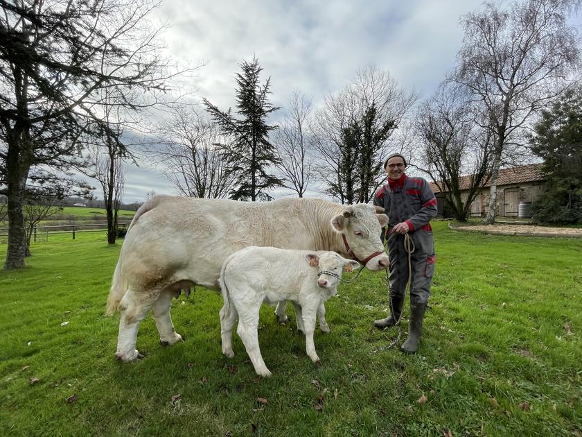 Impératrice Et Sa Fille Sissi Au Salon Anjou Agricole 5098