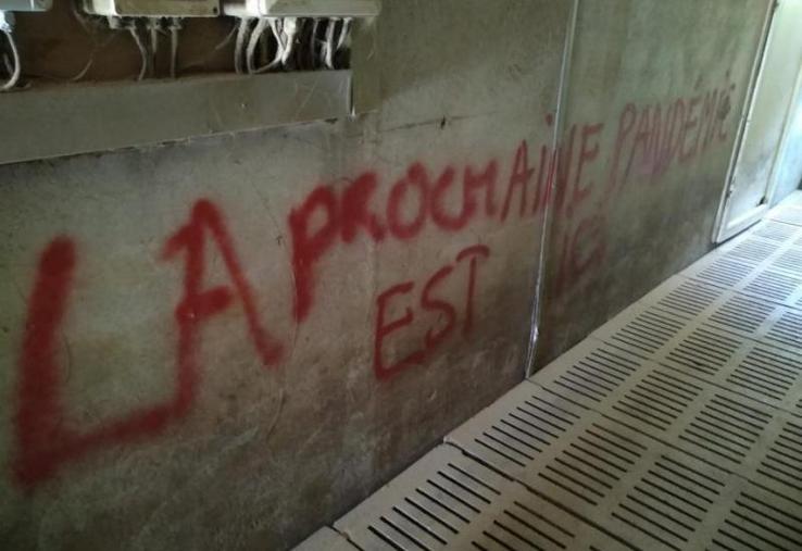 Plusieurs exploitations agricoles ont été vandalisées en Mayenne, Maine-et-Loire et Loire-Atlantique.