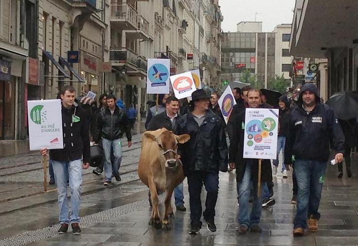 JA49 et leur vache Gadoue en ballade samedi 2 mai dans les rues d'Angers. Ici, rue d'Alsace.