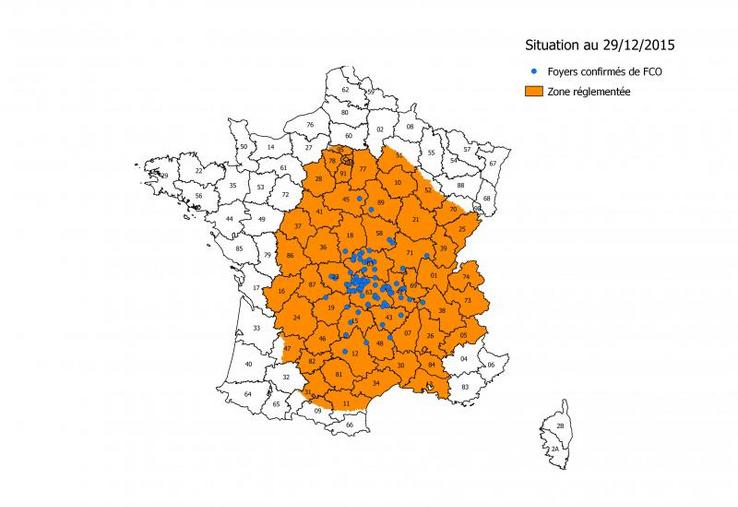 Ce sont au total 143 cas de FCO qui ont été détectés, dont notamment 37 cas dans l’Allier, 53 dans le Puy-de-Dôme, 9 dans la Creuse, 4 dans le Cher, 5 en Saône-et-Loire, 6 dans la Nièvre, 11 dans la Loire, 1 dans l'Indre , 6 dans le Cantal, 2 dans l'Aveyron, 3 dans la Haute Loire, 1 dans le Loiret, 1 en Lozère, 2 en Corrèze, 1 dans l'Yonne et 1 en Isère.
