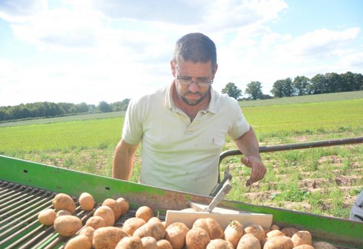 Arnaud Terrien trie ses pommes de terre, qui seront ensuite vendues autour de Saint-Germain-des-Prés.