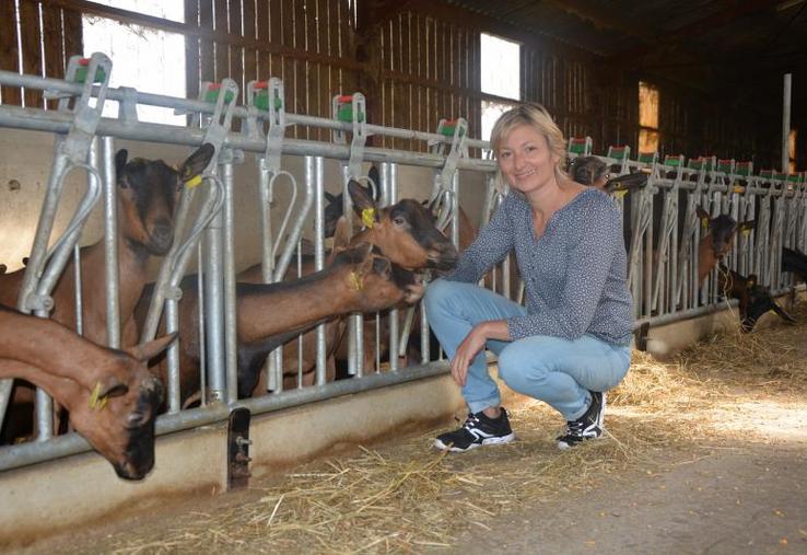 Catherine Gervais travaille en binôme avec son mari Jacques Gervais. Ensemble, ils élèvent des chèvres et des vaches allaitantes, à Somloire.