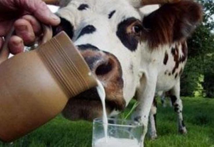 Les boissons végétales intitulées « lait végétaux » devront trouver une autre dénomination.