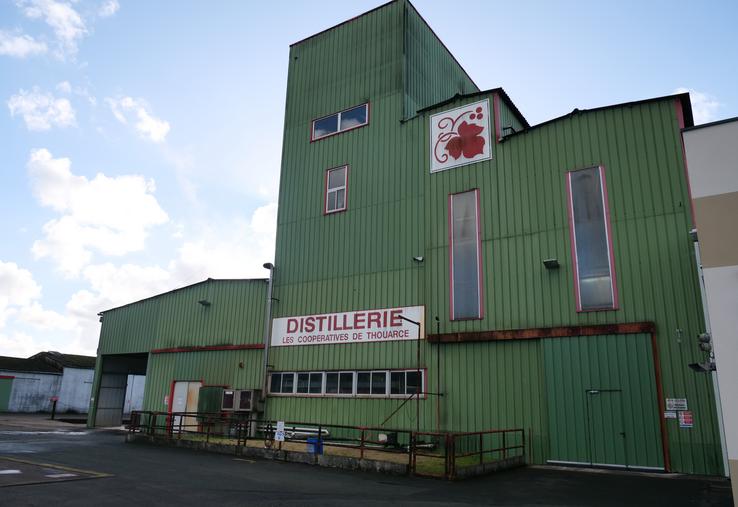 La distillerie de Thouarcé existe depuis 1905.