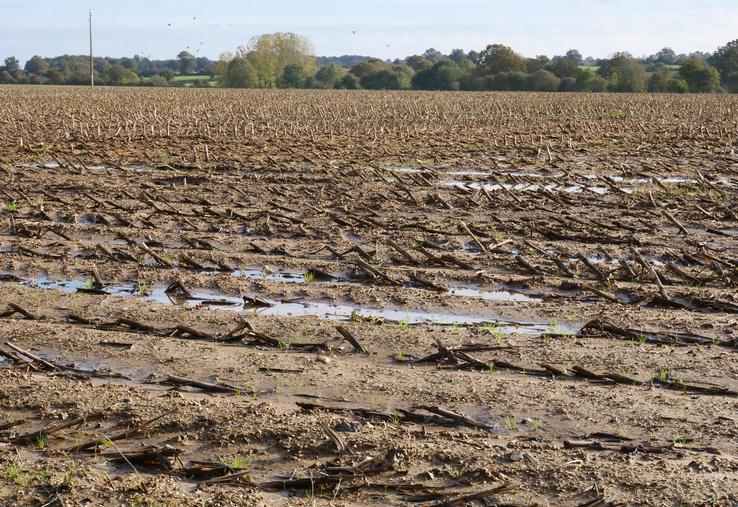Depuis novembre, les sols sont saturés d'eau dès le retour de la pluie, dans de nombreux secteurs du département.