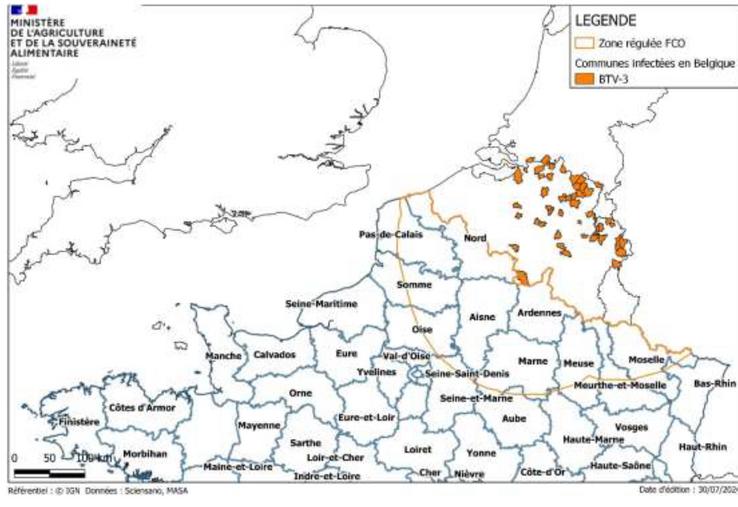 Foyers de FCO en Belgique et zone régulée depuis le 2 août.