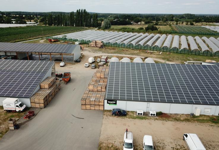 A l'Angevine, exploitation maraîchère bio, une partie de l'électricité produite est autoconsommée pour la station de conditionnement et l'irrigation.