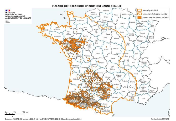 Maladie hémorragique épizootique en France.