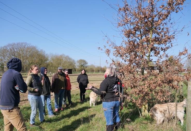 Jeudi 6 mars, Armelle Vinet animait une session de formation de taille hivernale de jeunes haies à Longué-Jumelles.