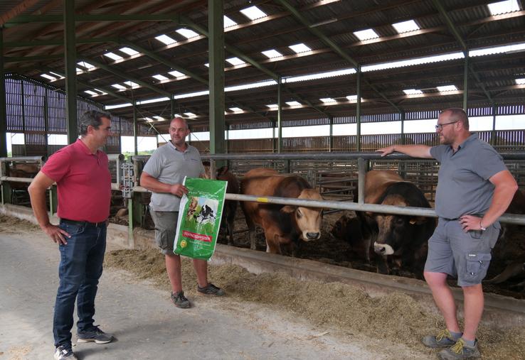 Les éleveurs Nicolas Marquet et Florian Trichet ont fait appel à leur technicien cultures Romain Boussiron pour trouver des semences de sorgho multicoupe.