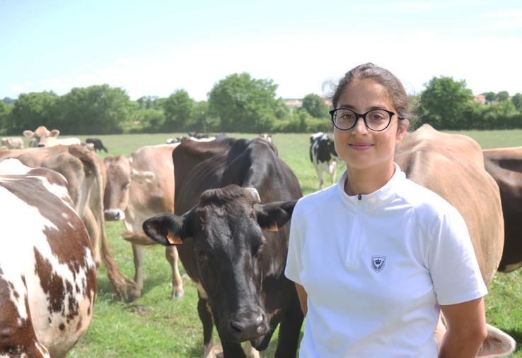 Flavie Brin parmi le troupeau de vaches laitières, où des croisements sont pratiqués entre les races prim'holstein, rouge norvégienne, simmental et fleckvieh austria. "Je crois que je me serais ennuyée avec un troupeau d'une seule couleur", plaisante la jeune éleveuse. 