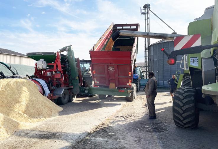 Le maïs est versé de la moiss'batt vers une benne, puis passe dans le broyeur à vis, avant d'être expulsé et stocké en silo libre comme ici, ou en boudin. 