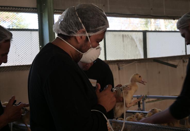 La vaccination se déroule en deux injections.