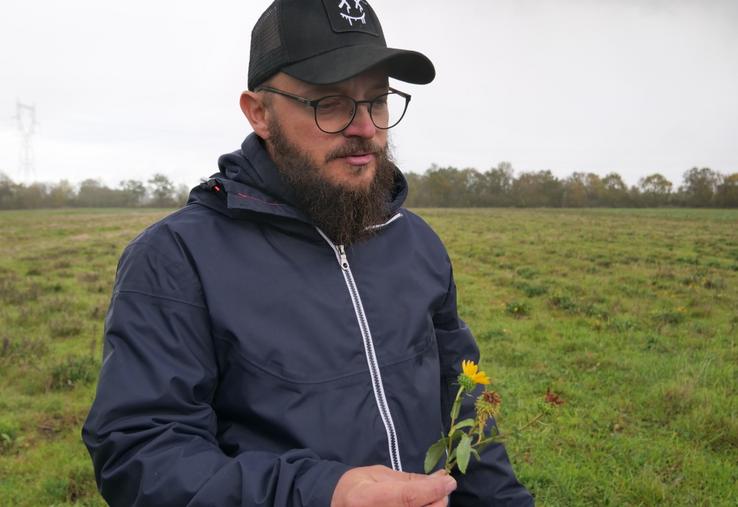 La parcelle de Grindelia reste enherbée. L'entretien est notamment assuré par de l'éco-paturage avec des moutons d'un élevage de Somloire.
