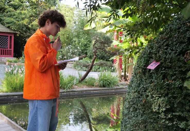 Les candidats devaient reconnaître, en fonction des catégories, entre 20 à 40 plantes, puis les nommer selon la nomenclature botanique (famille/genre/espèce/cultivar/nom commun). 