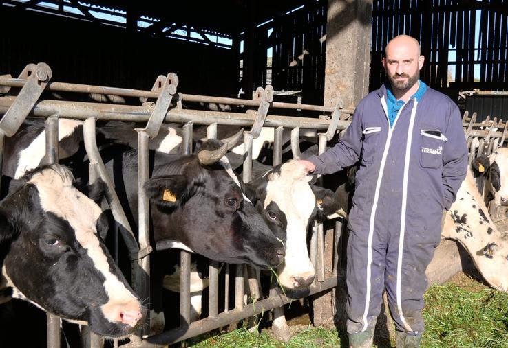 Benoit Frémy et ses vaches prim'holstein.