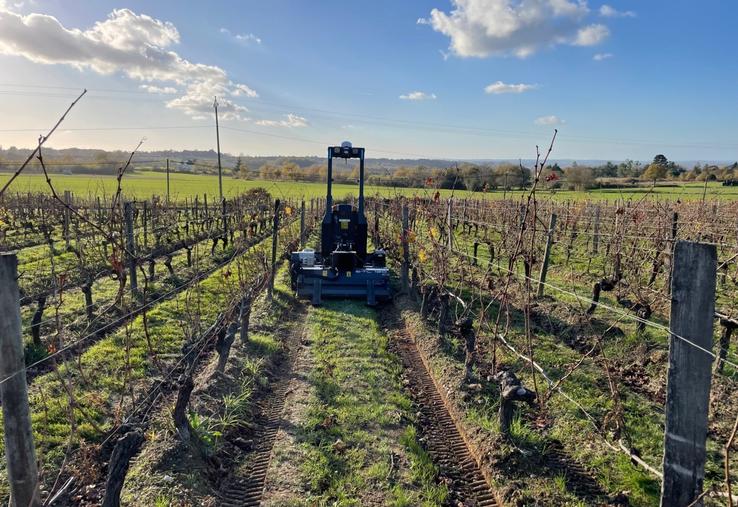 Le domaine, repris en 2006 par la famille Fournier Longchamps, s'attache à promouvoir les innovations, comme ce robot autonome, mais s'intéresse également aux cultures alternatives.