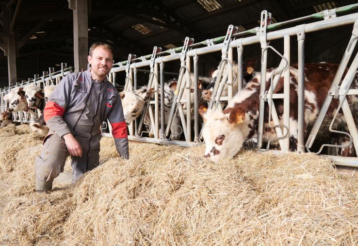 Clément Rousteau devant le troupeau de génisses normandes et montbéliardes de l'élevage.