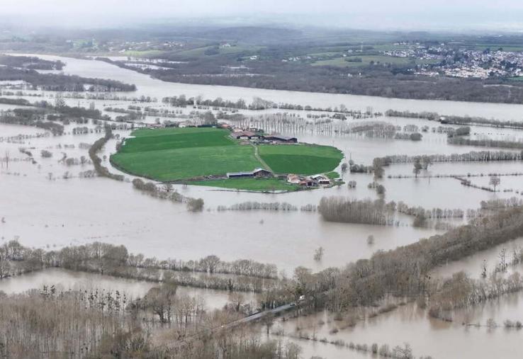 L'élevage laitier de Damien et Benoit Epoudry, à Liré, est cerné par les eaux. Les éleveurs livrent chaque jour leur lait grâce à leur coopérative grâce à un bac agricole. 