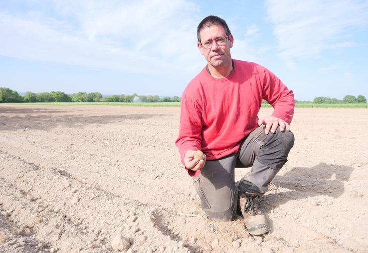 Arnaud Terrien, producteur de pommes de terre à Saint-Germain des Prés, à 100% en circuits courts.