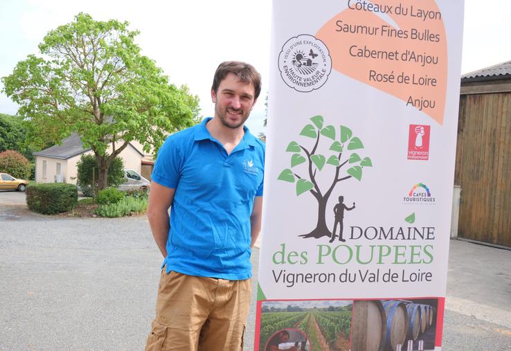 Clément Poupée, vigneron à Martigné-Briand, s'est inspiré de son nom de famille pour créer son nom de domaine et a repris le visuel du catalpa qui trône à l'entrée du domaine des Poupées.