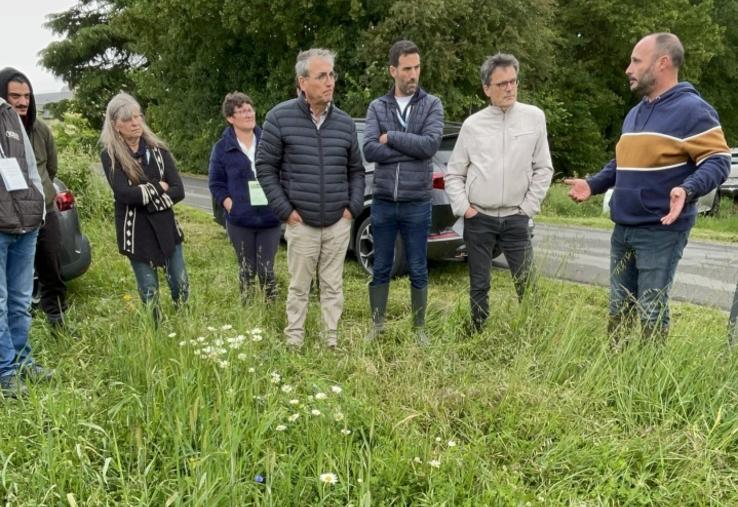 Gilles Paré, agriculteur à Beaufort-en-Anjou, a implanté une bande fleurie d'une quinzaine d'espèces en bordure d'une de ses parcelles.