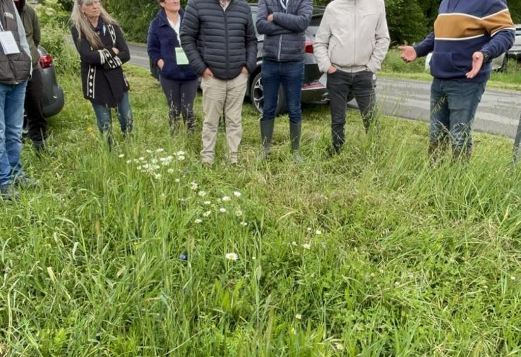 Gilles Paré, agriculteur à Beaufort-en-Anjou, a implanté une bande fleurie d'une quinzaine d'espèces en bordure d'une de ses parcelles.