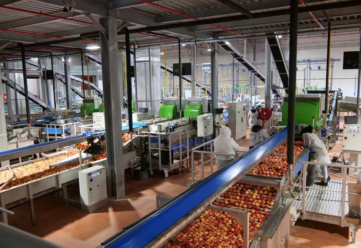 La station fruitière Océane d'Innatis à Verrières-en-Anjou (Saint-Sylvain d'Anjou) avait été livrée à l'automne 2023, pour un investissement de 30 millions d'euros. Elle est désormais propriété des Vergers d'Anjou. 