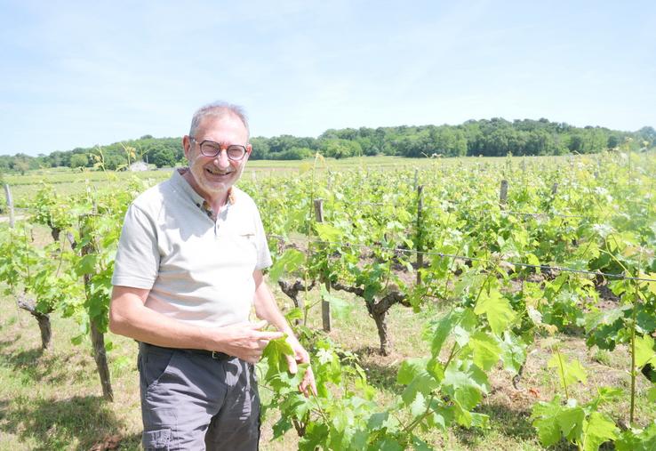 Jean Luc Mary apprécie aussi bien la production que la vinification ou le commerce du vin. Au 22 mai, la vigne commence à fleurir à Saumur.