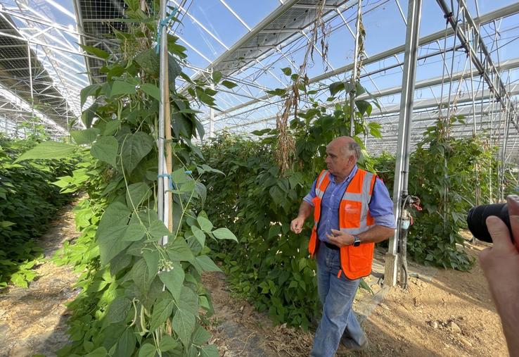 Hervé Lallaouret a fait construire une serre agrivoltaïque maraîchère de près de 4 ha. À droite, l'agriculteur charentais Johan Bernardin, qui l'a épaulé dans son projet.