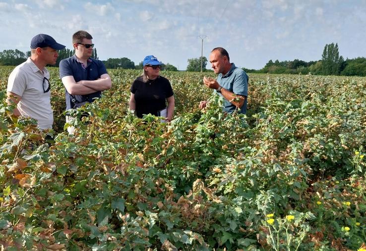Mission d'enquête au Gaec Ludeau pour expertiser avec la DDT les pertes en cassis et groseilles en vue d'une indemnisation via l'ISN.