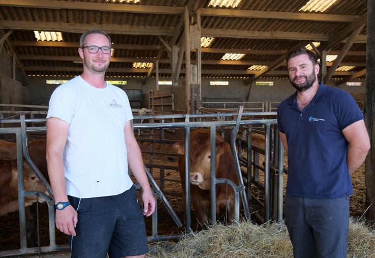 Jérémy Blaiteau, éleveur à Vezins, qui a vacciné son troupeau limousin contre la MHE et la FCO et Dr Nicolas Damas, le vétérinaire de l'élevage.