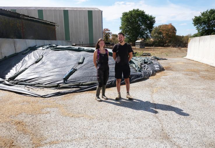 Clément Lebaux, jeune installé à Chemillé-en-Anjou (Saint-Georges des Gardes) et sa compagne Manon Bretaudeau, salariée, devant un maigre silo d'ensilage de 7 tonnes, alors que cet espace devrait être rempli aux trois quarts. 