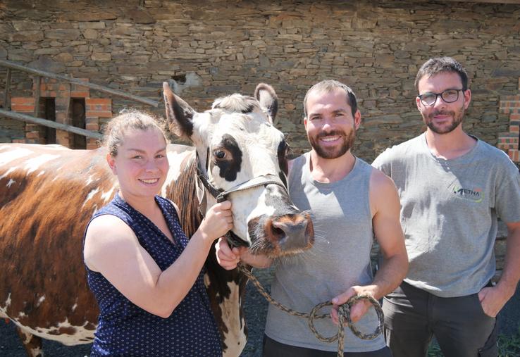 Claire, Thibaut et Mathieu Lambert, sont associés avec leur mère au sein du Gaec La Normande.