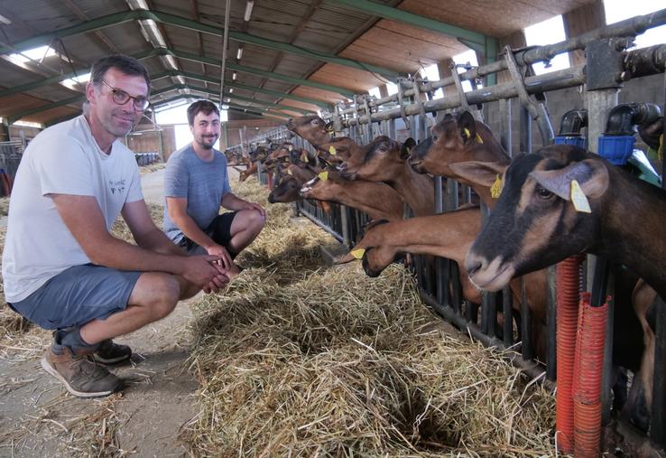 Anthony Audouin et Paul Raimbault, associés de l'EARL de la Gilière, commercialisent leurs fromages sous la marque Chevrettes des Mauges. 