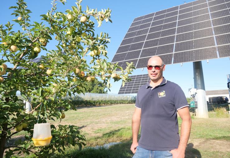 Albert Augereau, arboriculteur à Chemillé en Anjou, a fait installer des trackers solaires il y a 3 ans.