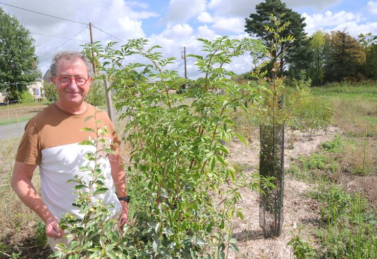 Frédéric Sérusier, du CNPH-Piverdière, devant une haie replantée en Végétal local. Des classes de CM1-CM2 de La Ménitré ont participé à la plantation. 