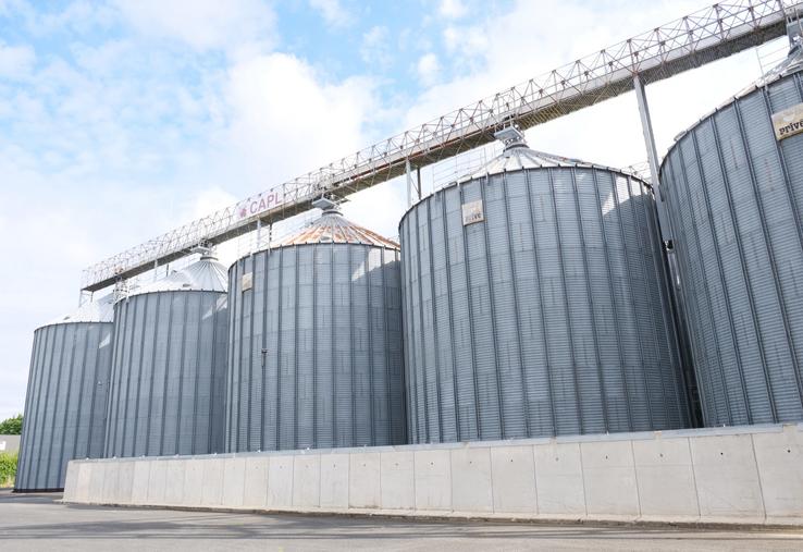 La CAPL a collecté entre 10 et 12 000 t de maïs grain sec en 2026, contre 70 000 t en 2024.