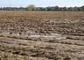 Depuis novembre, les sols sont saturés d'eau dès le retour de la pluie, dans de nombreux secteurs du département.