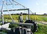 Antony Blourdier devant la rampe d'irrigation installée par le Gaec du Lathan dans une parcelle de maïs et plants de fraisiers.