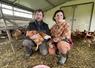 Emmanuel Gourichon et Marie Renou élèvent une centaine de chapons pour les fêtes de fin d'année.