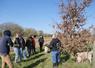 Jeudi 6 mars, Armelle Vinet animait une session de formation de taille hivernale de jeunes haies à Longué-Jumelles.